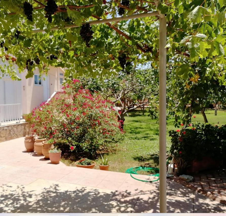 Villa Eleana La Canée Extérieur photo